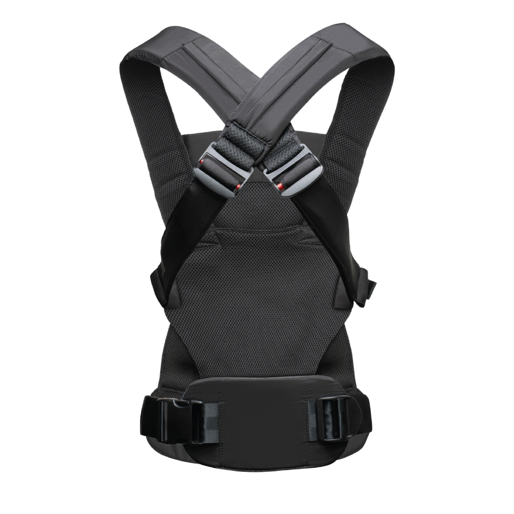 The Baby Carrier 2