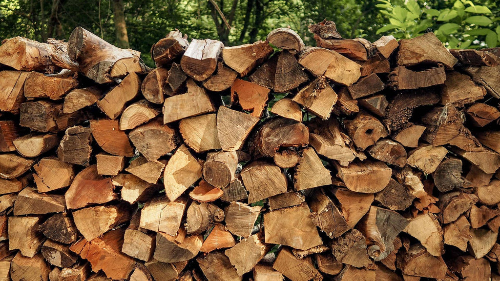Bonfire Bundle - Oak Firewood